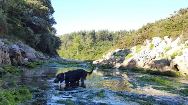 Apartamento Rural Lago Ercina Leilighet Onís Eksteriør bilde